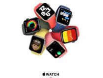 apple watch可以开蜂窝么