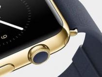 Apple Watch有几种版本