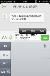 苹果手机不能粘贴复制怎么办