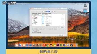 mac中英文切换快捷键是什么