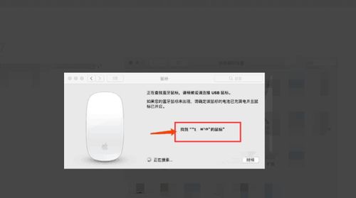 苹果鼠标连接不上mac
