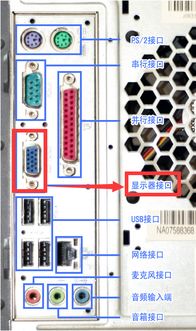苹果显示器能插在普通电脑上么