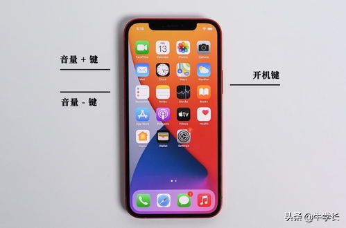 苹果12怎么重启