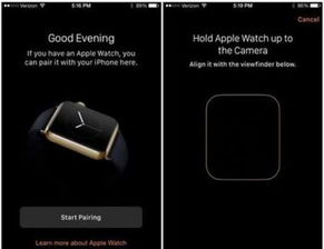 apple watch上的i标志在哪里
