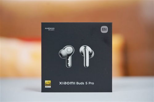 小米buds 5 pro今年会有吗