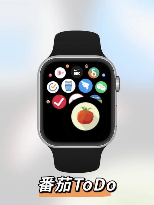 apple watch什么软件实用