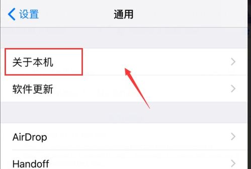 怎么知道苹果手机机型是安卓还是IOS