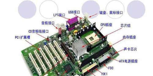电脑的各个组成部分是做什么用的