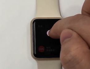 apple watch怎样重启
