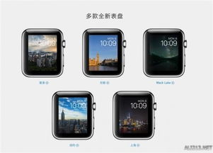 Apple Watch是否要开放第三方表盘