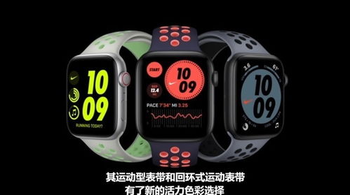 applewatch se和6区别