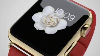 iphone watch什么时候上市时间