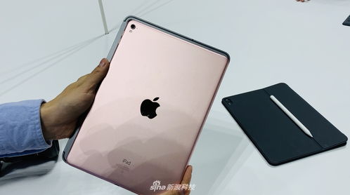 ipad和ipad pro区别