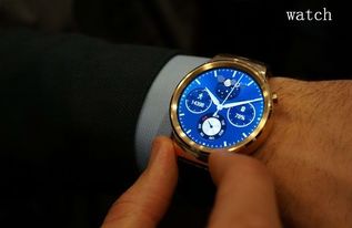watch是什么意思