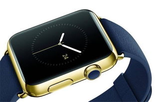 apple watch图标太大怎么调整