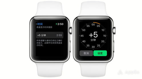 applewatch心理压力小橙子怎么设置