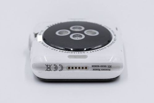 Apple Watch居然有陶瓷版网友：我一定不是最后一个知道的