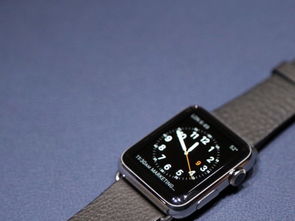 apple watch和watch sport有哪些区别