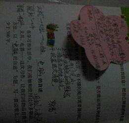 写作文：电脑的自述～不少于300字