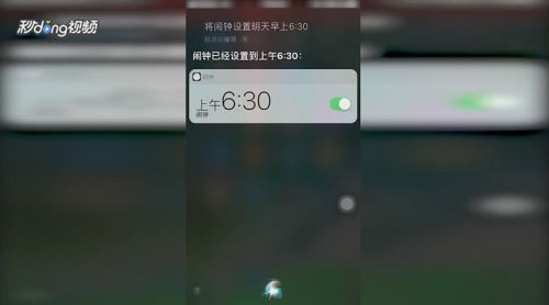 安卓手机有siri功能吗怎么设置密码