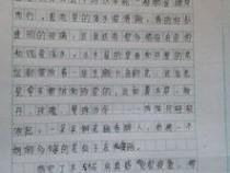 作文《我与电脑》400字