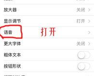 苹果手机打字为会自己读出来还关不掉怎么关