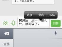 苹果手机不能粘贴复制怎么办