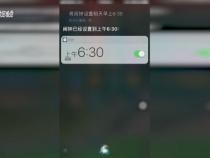 安卓手机有siri功能吗怎么设置密码