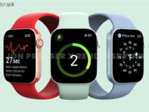 apple watch s7(app全称)