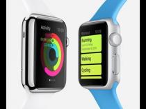 如何在 Apple Watch 上追踪步数、距离及爬楼层数