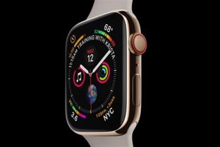 apple watch多少欧元