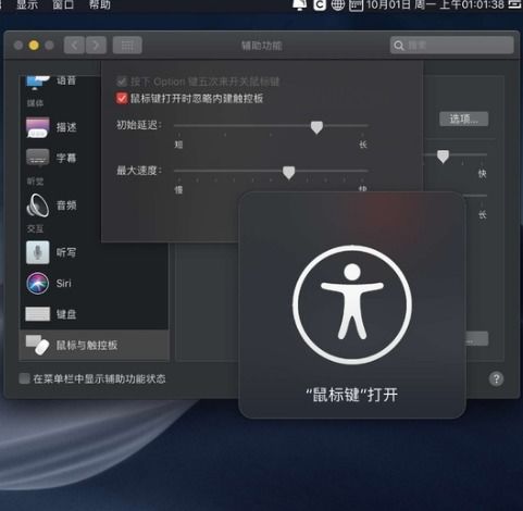 苹果笔记本电脑的触屏滚轮怎么用