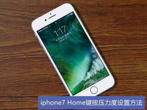 iphone7怎么设置home键
