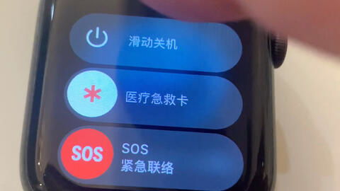 applewatch徽章在哪看