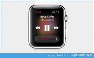 如何一次性查看所有的 Apple Watch 应用