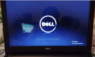 dell笔记本f12开机是哪个