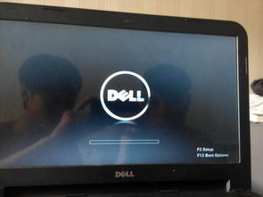 dell笔记本电脑开机显示f1、 f2、 f12、 f1