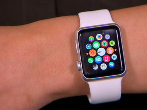 apple watch是什么意思