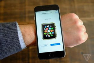 如何到香港apple store购买apple watch