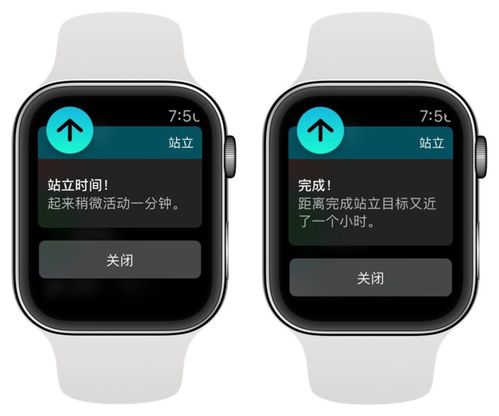 如何与好友开启 Apple Watch 健身竞赛