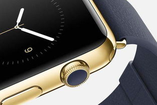 applewatch动作指针是什么