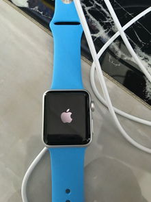 iwatch屏幕一直显示苹果logo