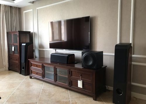 客厅用音箱选哪个好