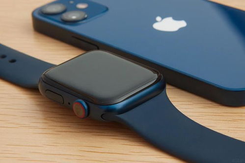 为什么说applewatch是美丽废物