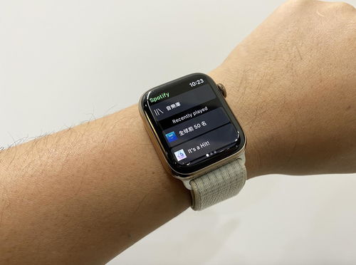 apple watch能上网吗