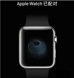 苹果手表Apple Watch怎么联网连接网络