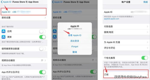 苹果手机怎样取消打字时候上方出现一行字。