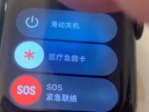 applewatch徽章在哪看
