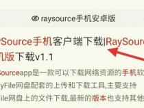 raysource有手机安卓版吗