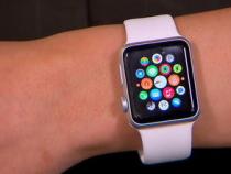 apple watch是什么意思